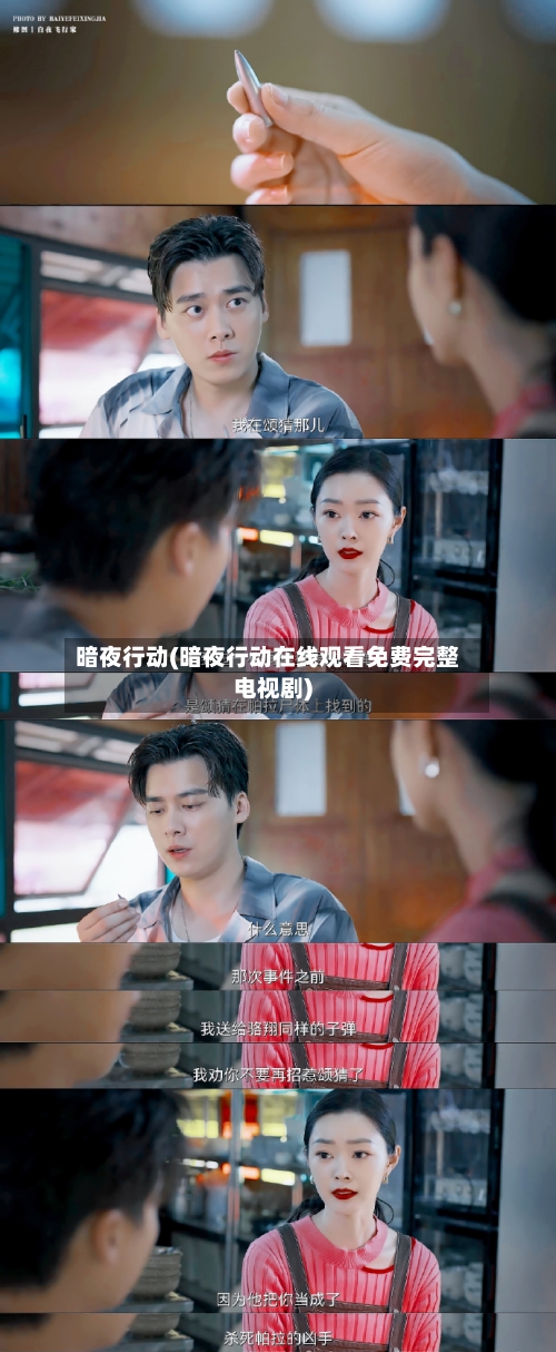 暗夜行动(暗夜行动在线观看免费完整电视剧)-第2张图片