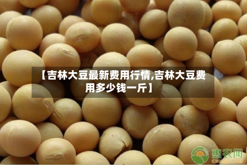 【吉林大豆最新费用行情,吉林大豆费用多少钱一斤】-第2张图片