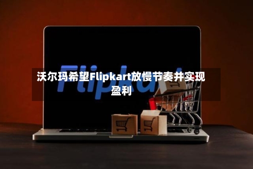 沃尔玛希望Flipkart放慢节奏并实现盈利-第1张图片