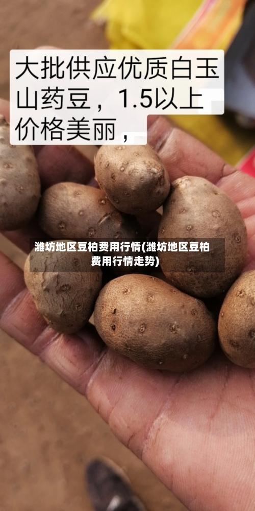 潍坊地区豆柏费用行情(潍坊地区豆柏费用行情走势)-第3张图片