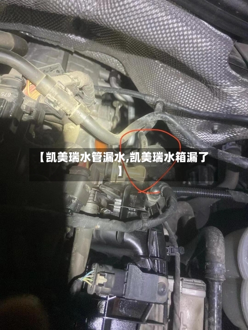 【凯美瑞水管漏水,凯美瑞水箱漏了】-第3张图片