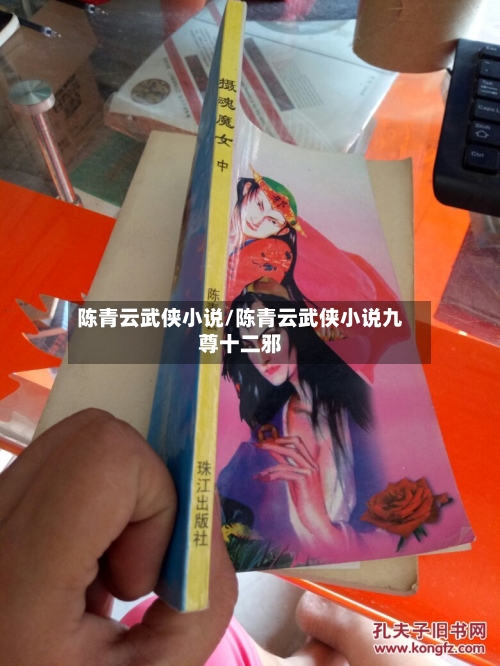 陈青云武侠小说/陈青云武侠小说九尊十二邪-第1张图片