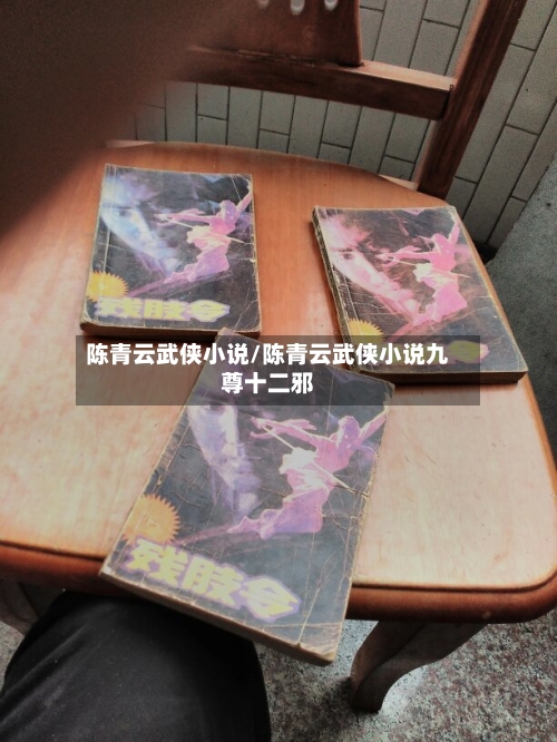 陈青云武侠小说/陈青云武侠小说九尊十二邪-第2张图片
