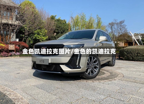 金色凯迪拉克图片/金色的凯迪拉克-第3张图片