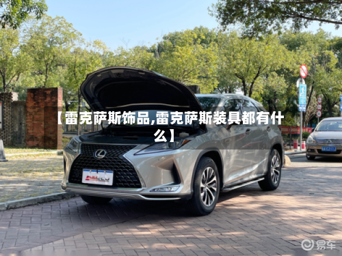 【雷克萨斯饰品,雷克萨斯装具都有什么】-第2张图片