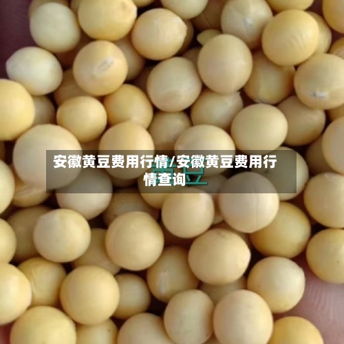 安徽黄豆费用行情/安徽黄豆费用行情查询-第1张图片