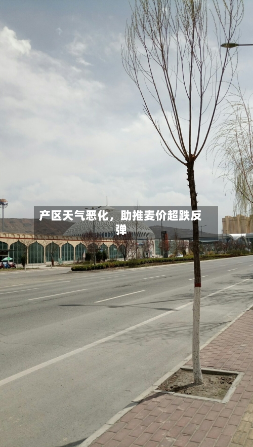 产区天气恶化	，助推麦价超跌反弹-第2张图片