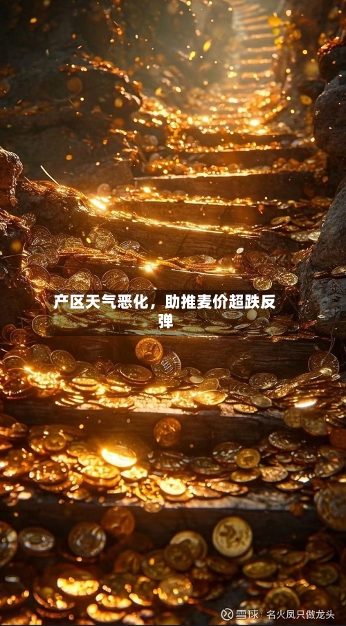 产区天气恶化，助推麦价超跌反弹-第1张图片