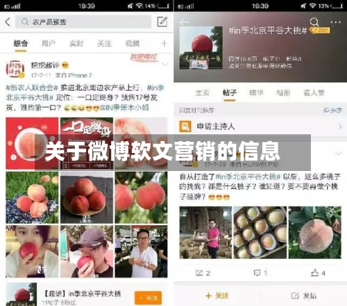 关于微博软文营销的信息-第1张图片