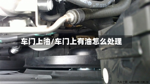 车门上油/车门上有油怎么处理-第2张图片