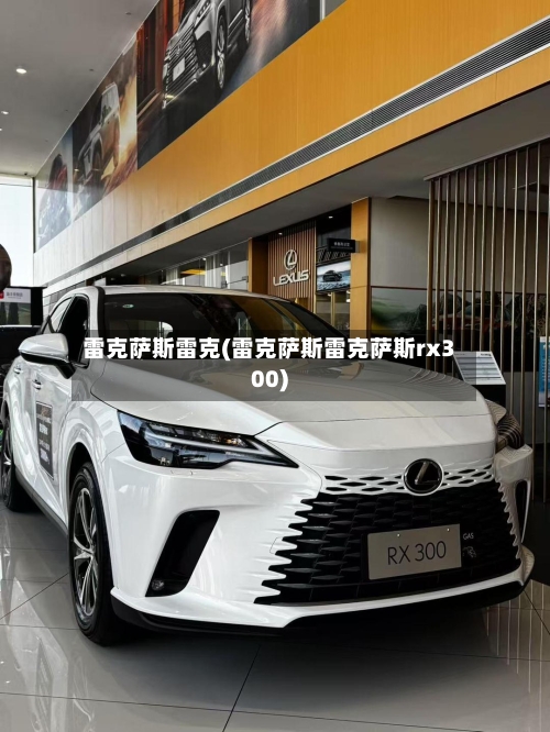 雷克萨斯雷克(雷克萨斯雷克萨斯rx300)-第3张图片