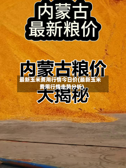最新玉米费用行情今日价(最新玉米费用行情走势分析)-第2张图片