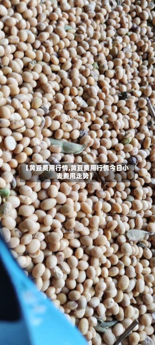【黄豆费用行情,黄豆费用行情今日小麦费用走势】-第3张图片