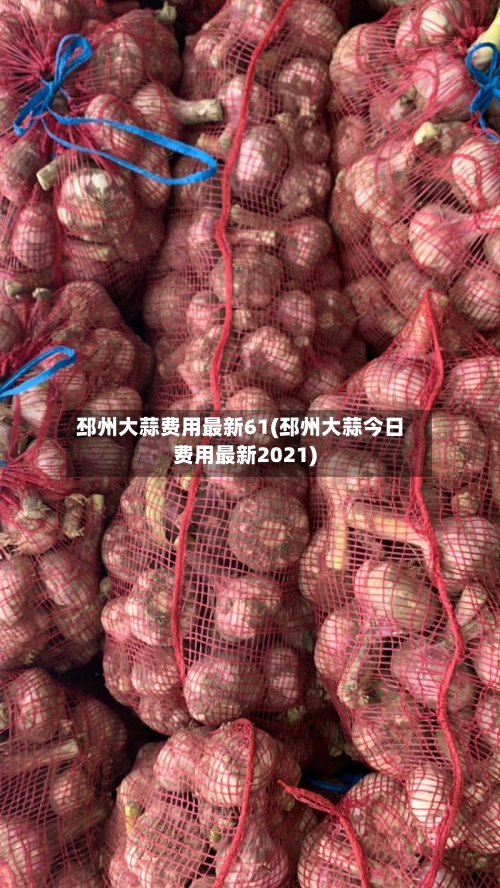 邳州大蒜费用最新61(邳州大蒜今日费用最新2021)-第2张图片