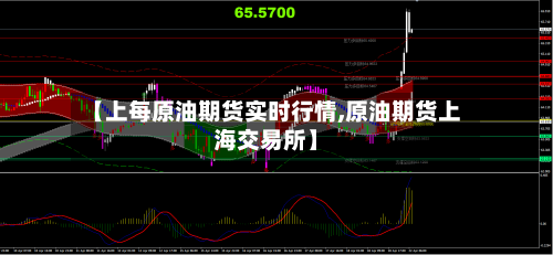 【上每原油期货实时行情,原油期货上海交易所】-第1张图片