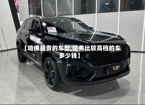 【哈佛最贵的车型,哈弗比较高档的车多少钱】-第2张图片