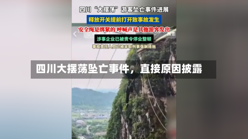 四川大摆荡坠亡事件，直接原因披露-第2张图片