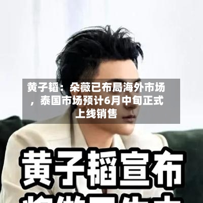 黄子韬：朵薇已布局海外市场，泰国市场预计6月中旬正式上线销售-第2张图片