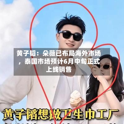 黄子韬：朵薇已布局海外市场，泰国市场预计6月中旬正式上线销售-第3张图片