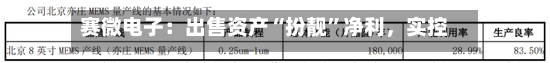 赛微电子：出售资产“扮靓	”净利，实控人拟套现逾11亿元-第2张图片