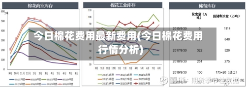 今日棉花费用最新费用(今日棉花费用行情分析)-第2张图片