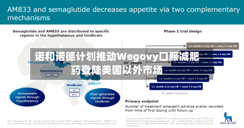 诺和诺德计划推动Wegovy口服减肥药登陆美国以外市场-第1张图片