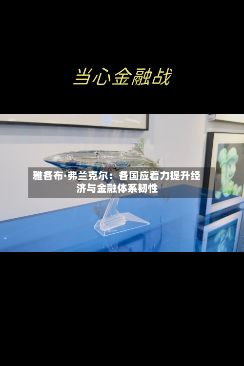 雅各布·弗兰克尔：各国应着力提升经济与金融体系韧性-第1张图片
