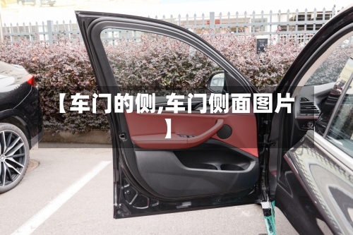 【车门的侧,车门侧面图片】-第1张图片