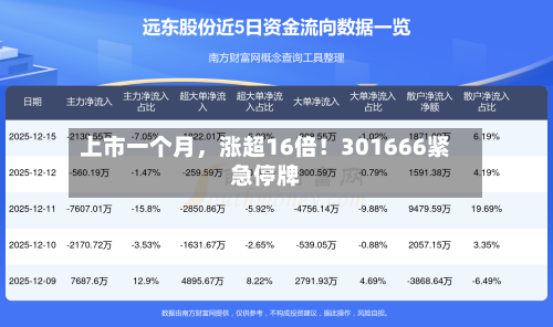 上市一个月，涨超16倍！301666紧急停牌-第2张图片