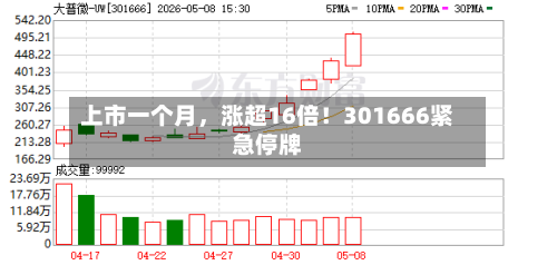 上市一个月，涨超16倍！301666紧急停牌-第1张图片
