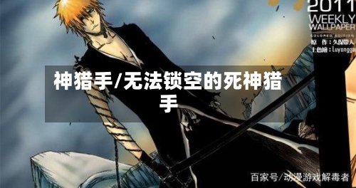神猎手/无法锁空的死神猎手-第3张图片