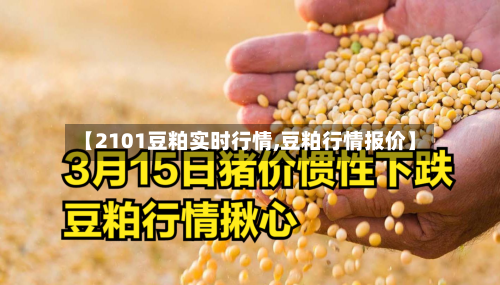 【2101豆粕实时行情,豆粕行情报价】-第1张图片
