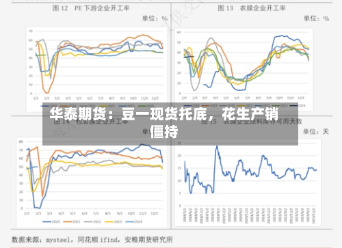 华泰期货：豆一现货托底，花生产销僵持-第1张图片