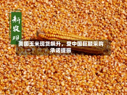 美国玉米现货飙升	，受中国巨额采购承诺提振-第2张图片