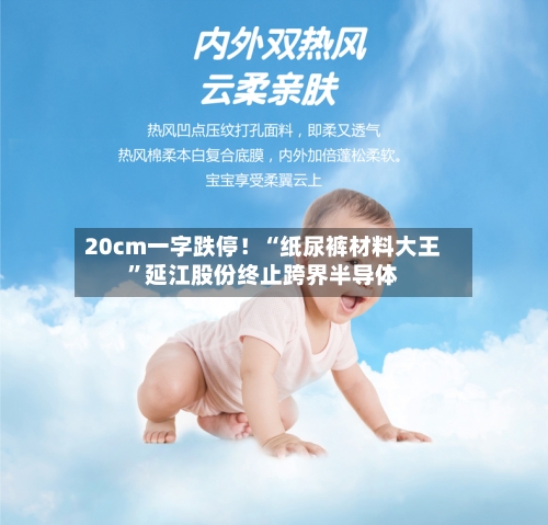 20cm一字跌停！“纸尿裤材料大王”延江股份终止跨界半导体-第2张图片