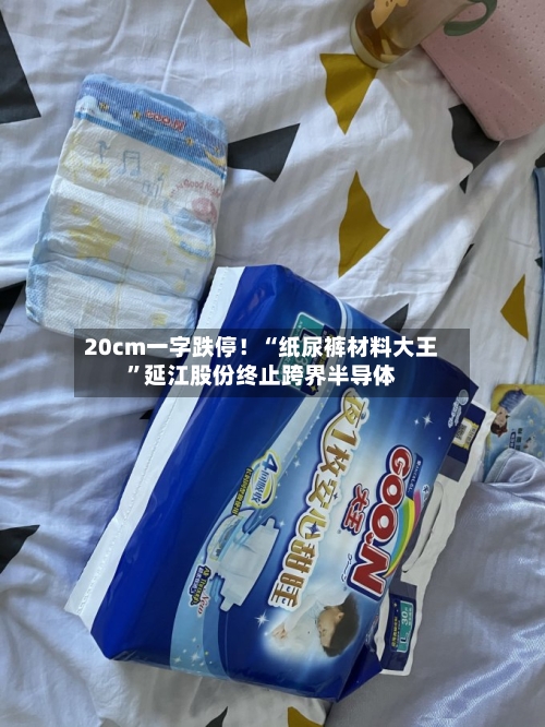 20cm一字跌停！“纸尿裤材料大王	”延江股份终止跨界半导体-第3张图片