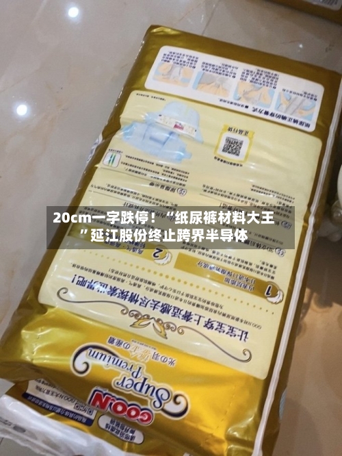 20cm一字跌停！“纸尿裤材料大王”延江股份终止跨界半导体-第1张图片