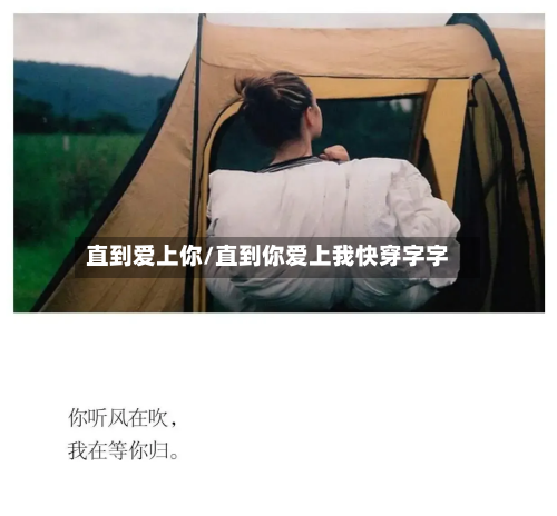 直到爱上你/直到你爱上我快穿字字-第2张图片