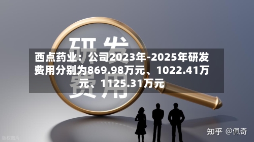 西点药业：公司2023年-2025年研发费用分别为869.98万元、1022.41万元、1125.31万元-第1张图片