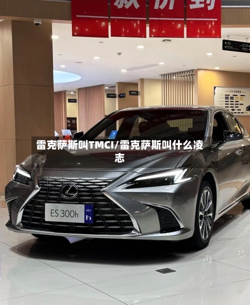 雷克萨斯叫TMCI/雷克萨斯叫什么凌志-第1张图片