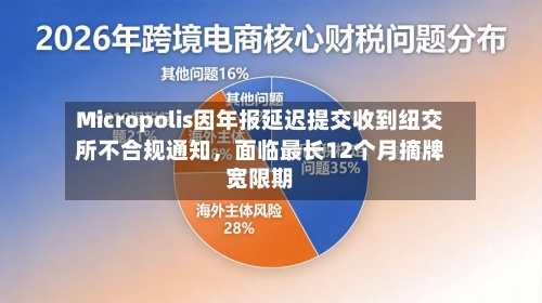 Micropolis因年报延迟提交收到纽交所不合规通知，面临最长12个月摘牌宽限期-第1张图片