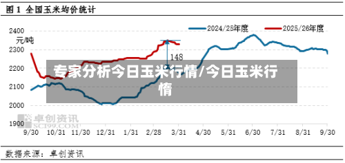 专家分析今日玉米行情/今日玉米行惰-第3张图片