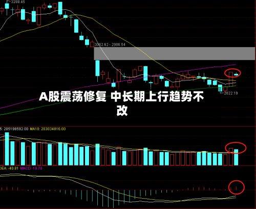 A股震荡修复 中长期上行趋势不改-第1张图片