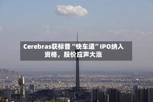 Cerebras获标普“快车道”IPO纳入资格，股价应声大涨-第2张图片