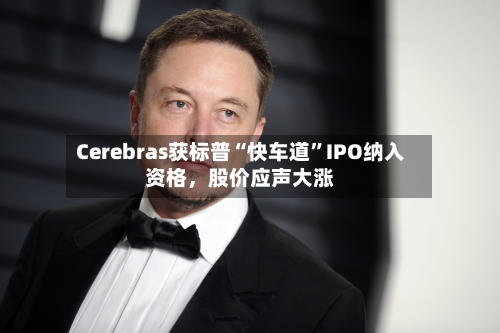Cerebras获标普“快车道	”IPO纳入资格，股价应声大涨-第3张图片