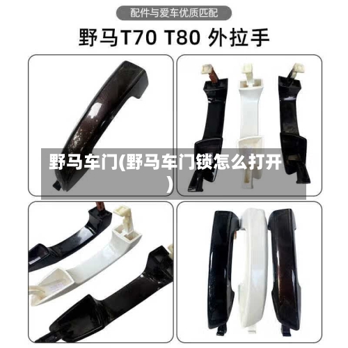 野马车门(野马车门锁怎么打开)-第2张图片
