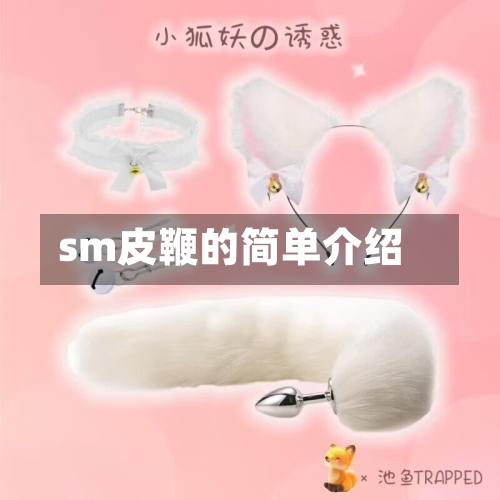sm皮鞭的简单介绍-第3张图片