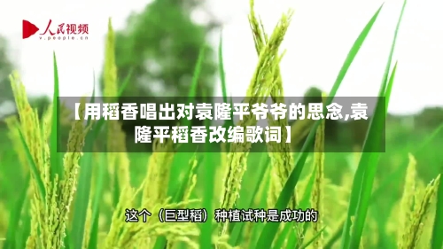 【用稻香唱出对袁隆平爷爷的思念,袁隆平稻香改编歌词】-第2张图片