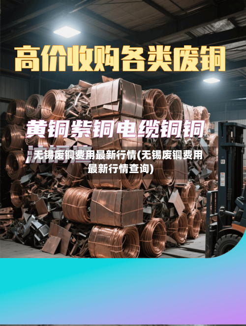 无锡废铜费用最新行情(无锡废铜费用最新行情查询)-第1张图片