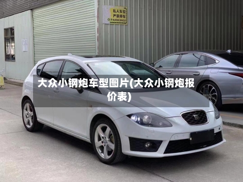 大众小钢炮车型图片(大众小钢炮报价表)-第1张图片